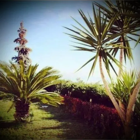 Bed & Breakfast Floriana 3*