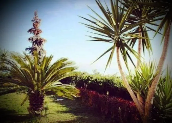 Bed & Breakfast Floriana 4*